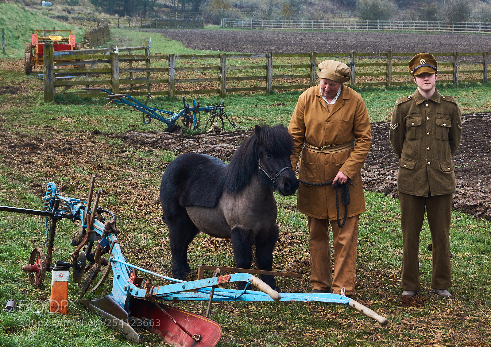 Sony SLT-A65 (SLT-A65V) sample photo. Pit pony and friends photography