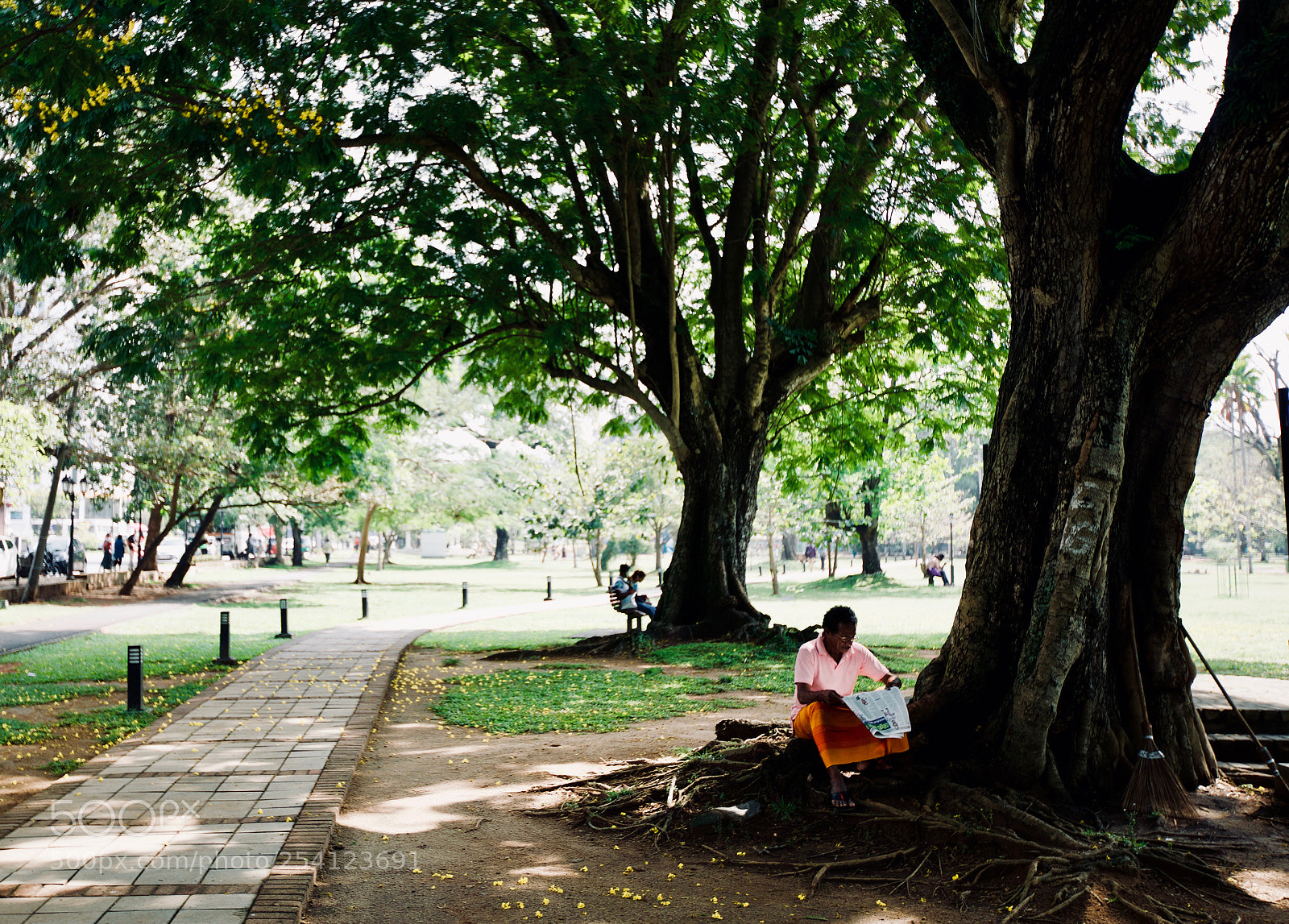 Canon EOS 5D Mark IV sample photo. Reader photography
