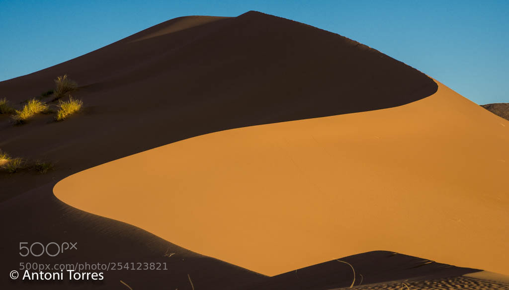 Olympus OM-D E-M1 Mark II sample photo. El desert redu t photography