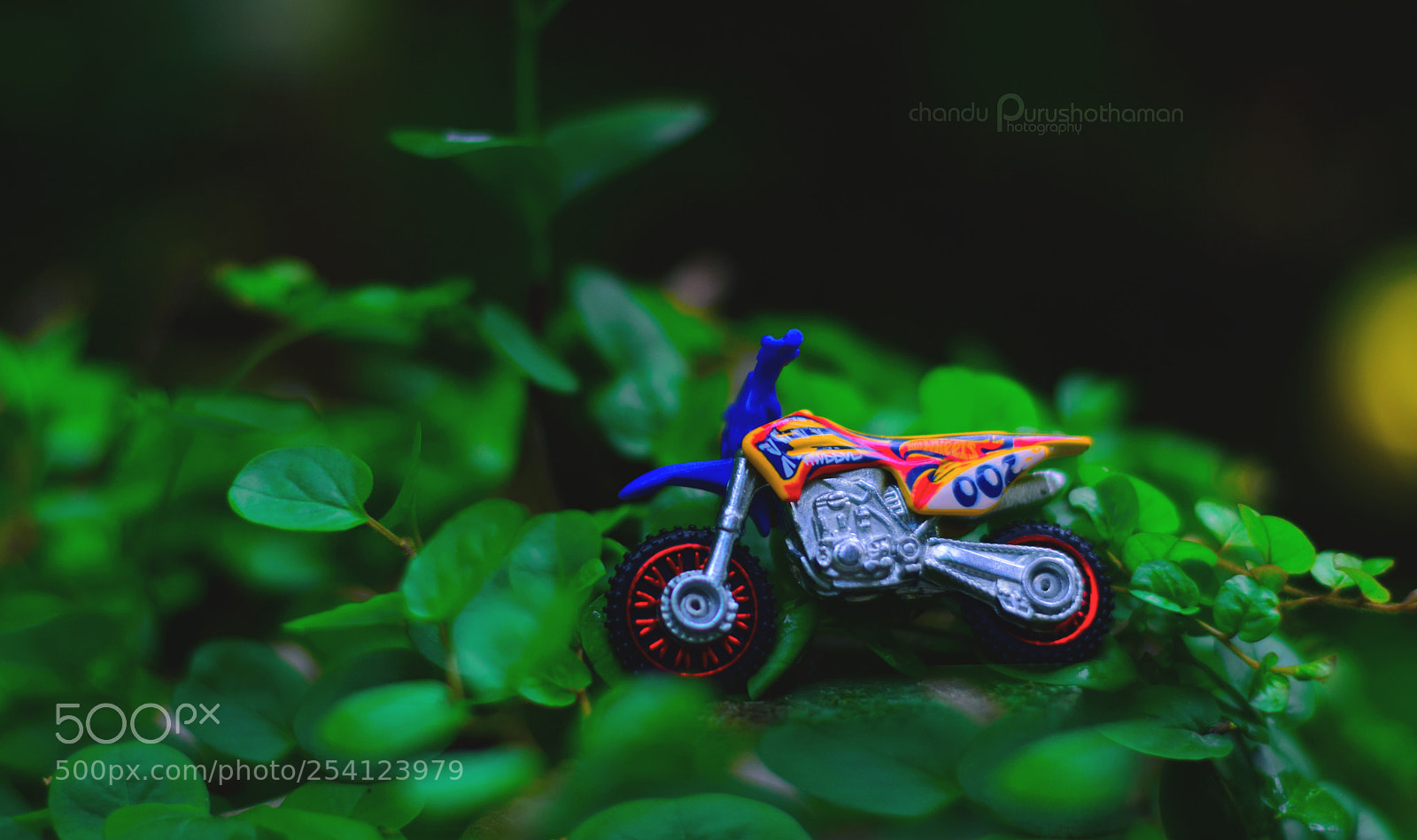 Nikon D5300 sample photo. Motobike photography