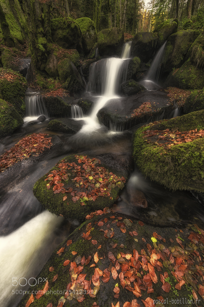 Nikon D800 sample photo. Cascade des darots photography