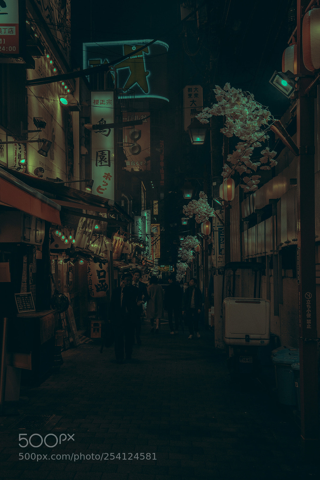 Sony a7R II sample photo. Tokyo's underground alleys photography