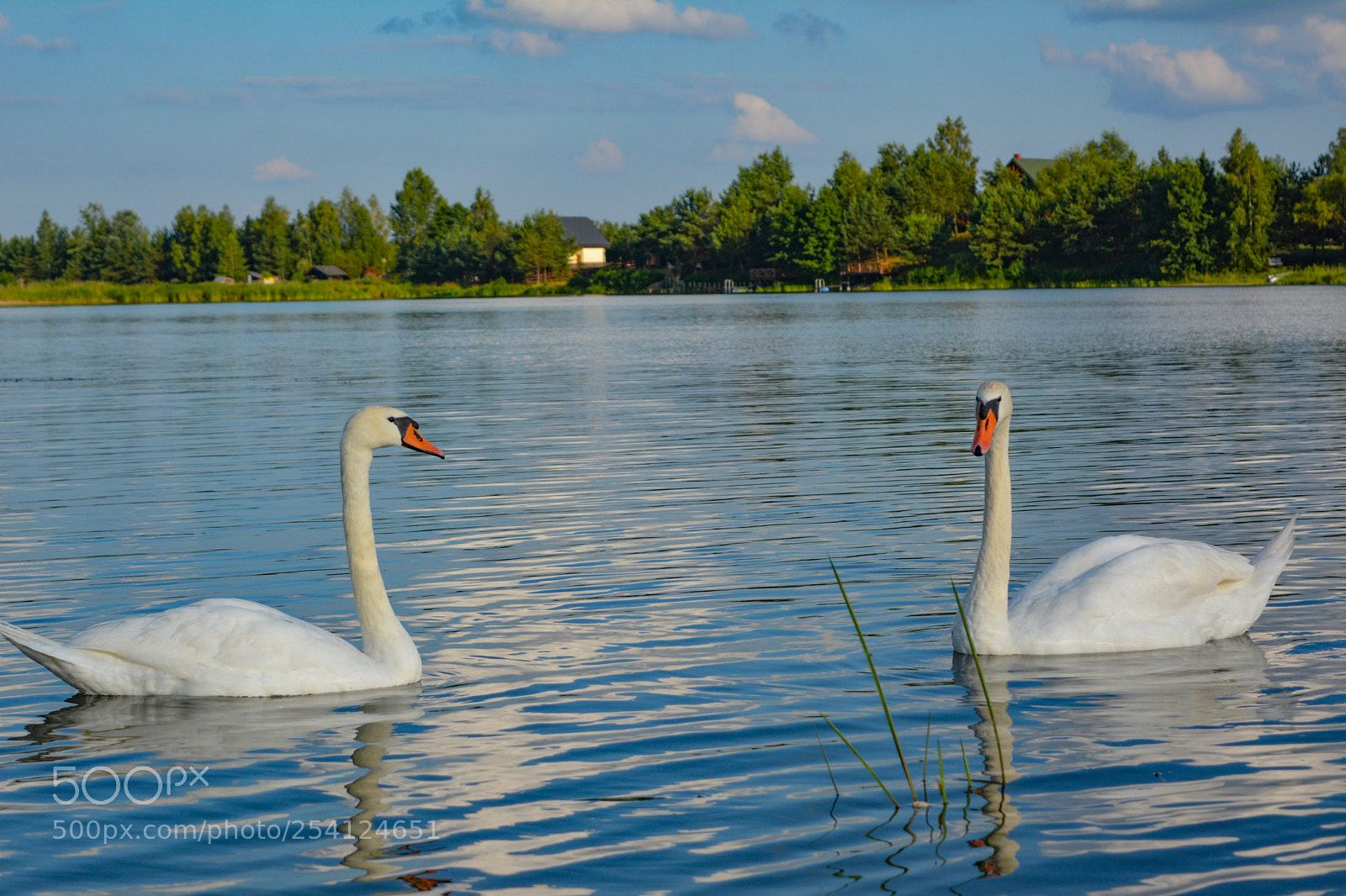 Nikon D5200 sample photo. Lake photography