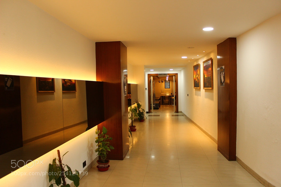 Canon EOS 600D (Rebel EOS T3i / EOS Kiss X5) sample photo. Smartworks - small office photography