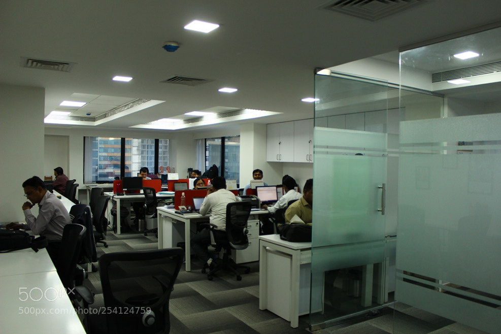 Canon EOS 600D (Rebel EOS T3i / EOS Kiss X5) sample photo. Img photography
