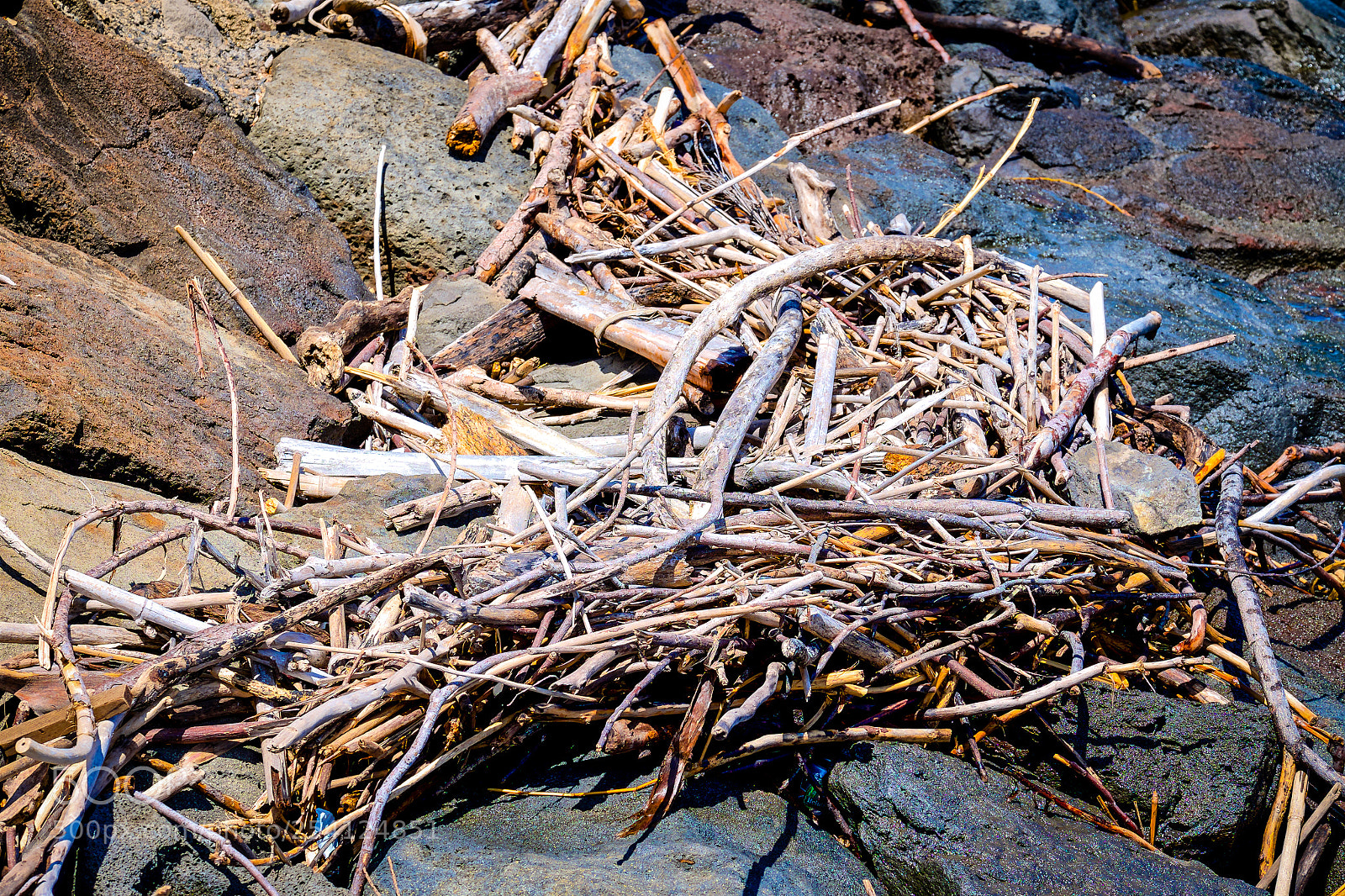 Fujifilm X-E2 sample photo. Beach findings photography