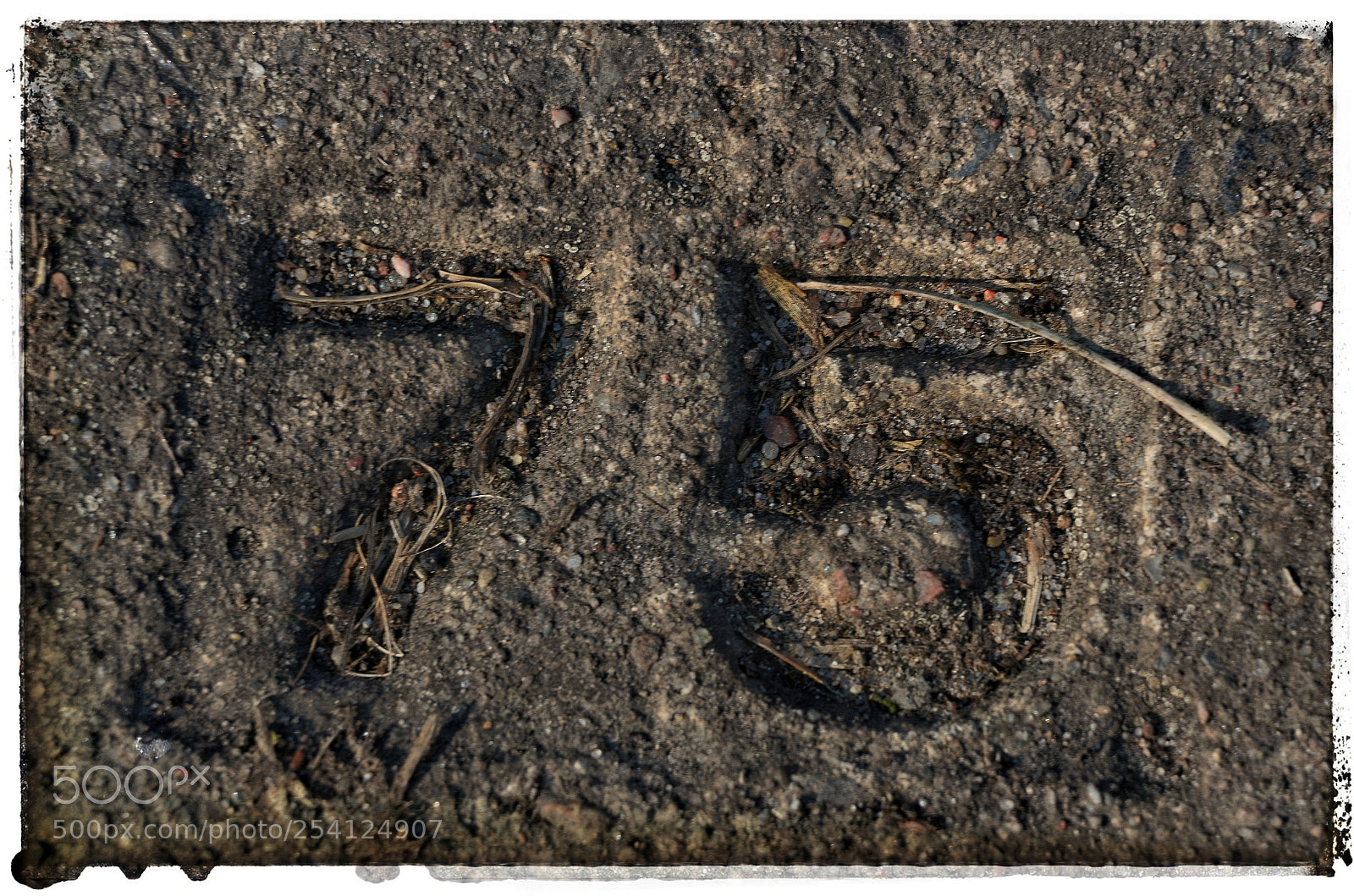Nikon D7000 sample photo. 75... 1975... photography