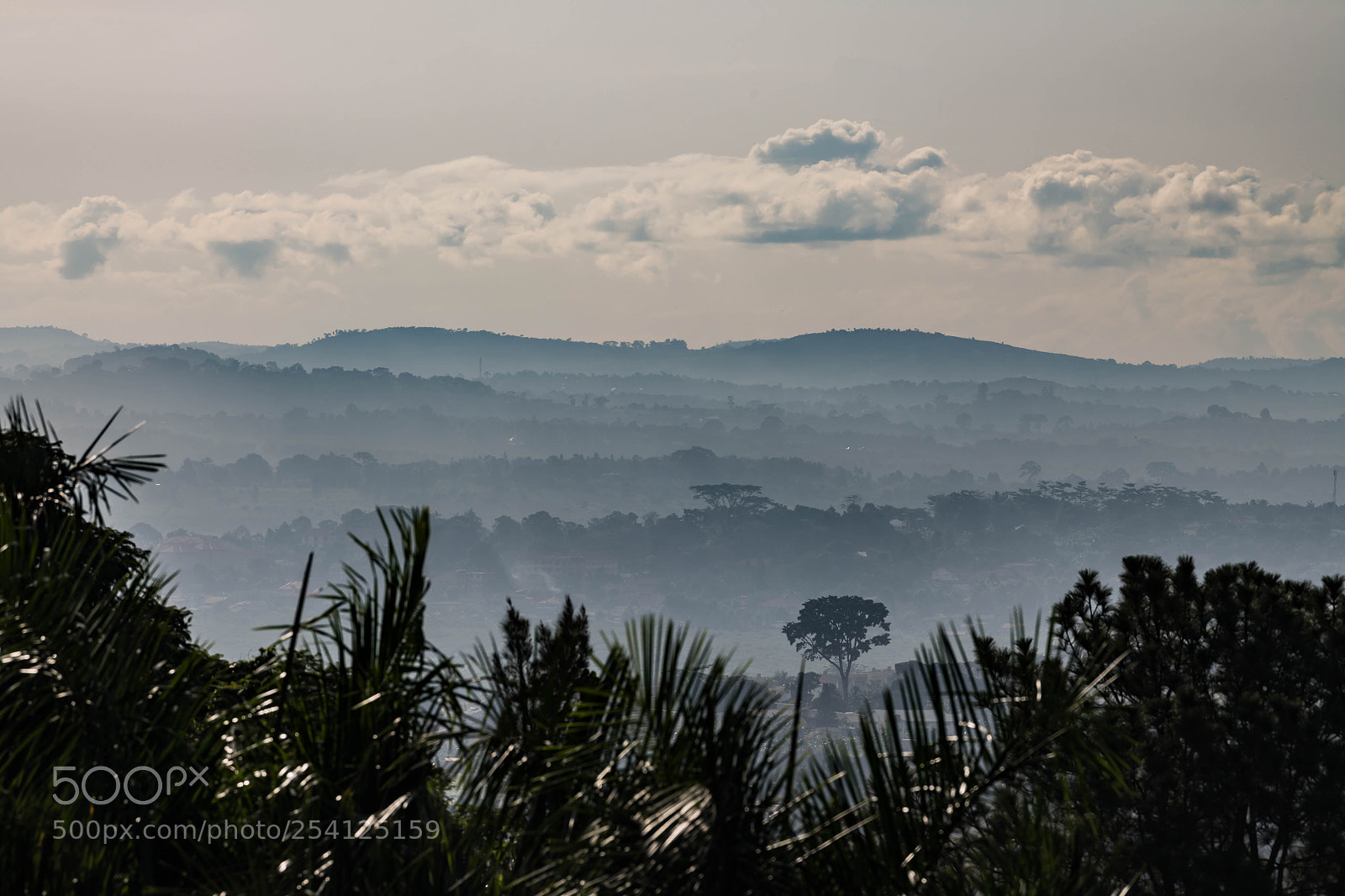 Nikon D850 sample photo. Hazy african landscape photography