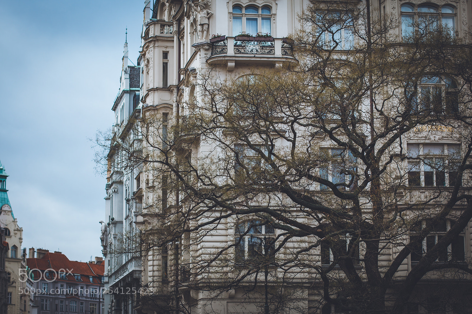 Canon EOS 70D sample photo. Architecture & a tree photography