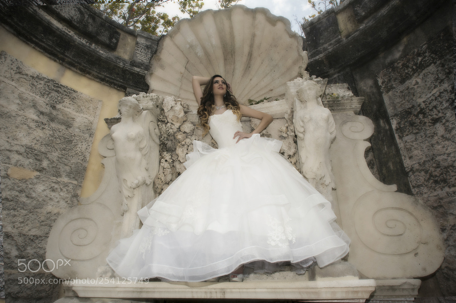 Nikon D500 sample photo. Copy photography