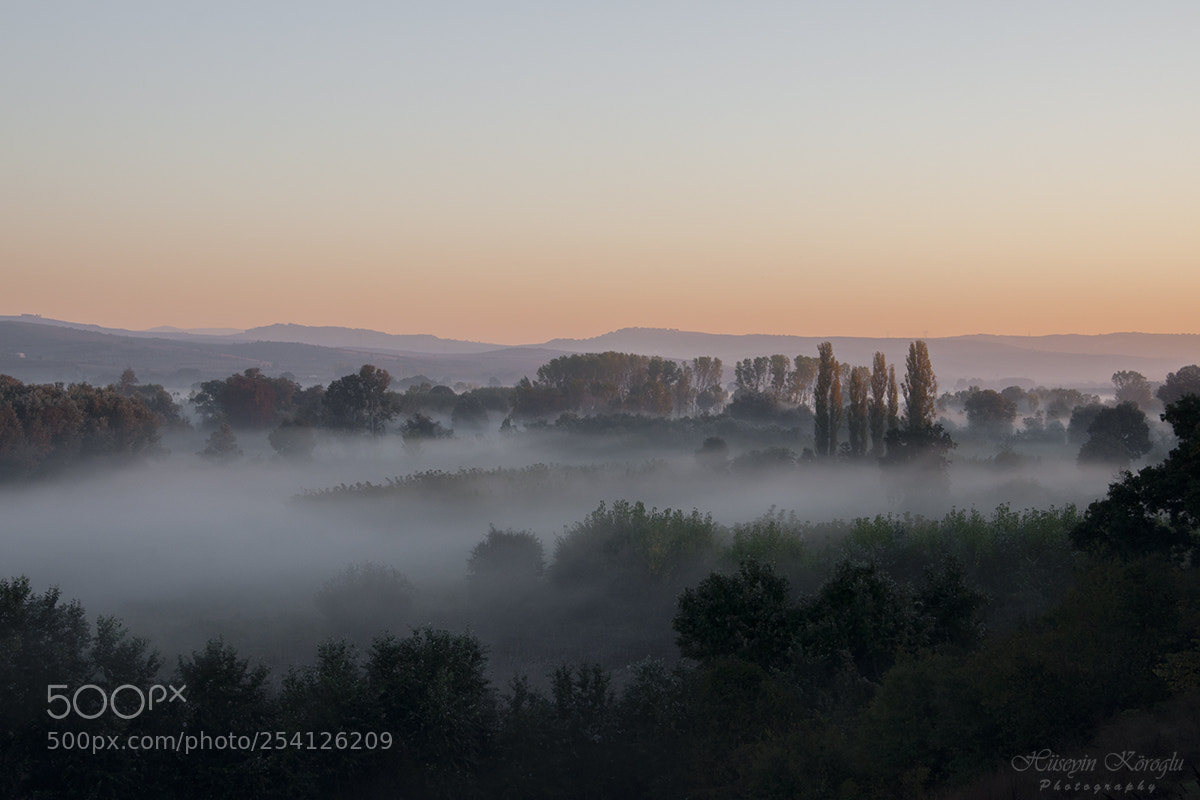 Nikon D90 sample photo. Fog photography