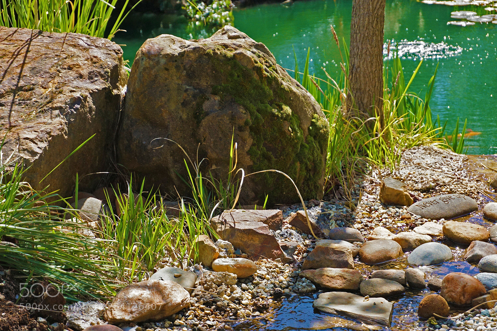 Sony a6000 sample photo. Mossy spring gardenscape photography