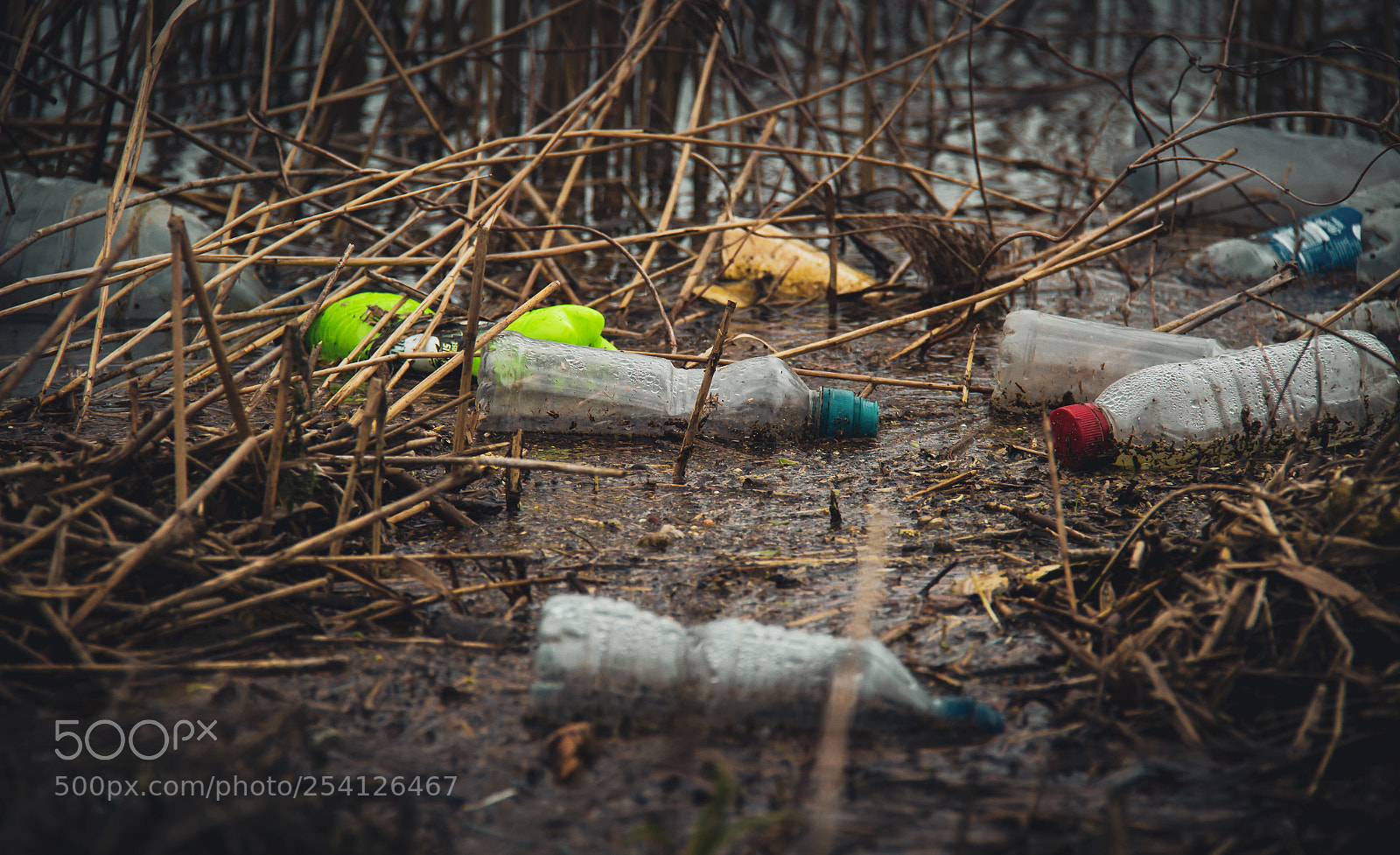 Canon EOS 7D sample photo. Modern nature photography