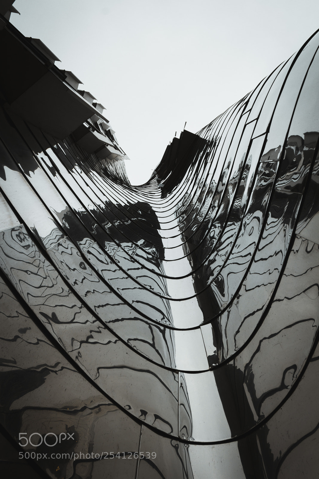 Canon EOS 600D (Rebel EOS T3i / EOS Kiss X5) sample photo. • abstract curves photography