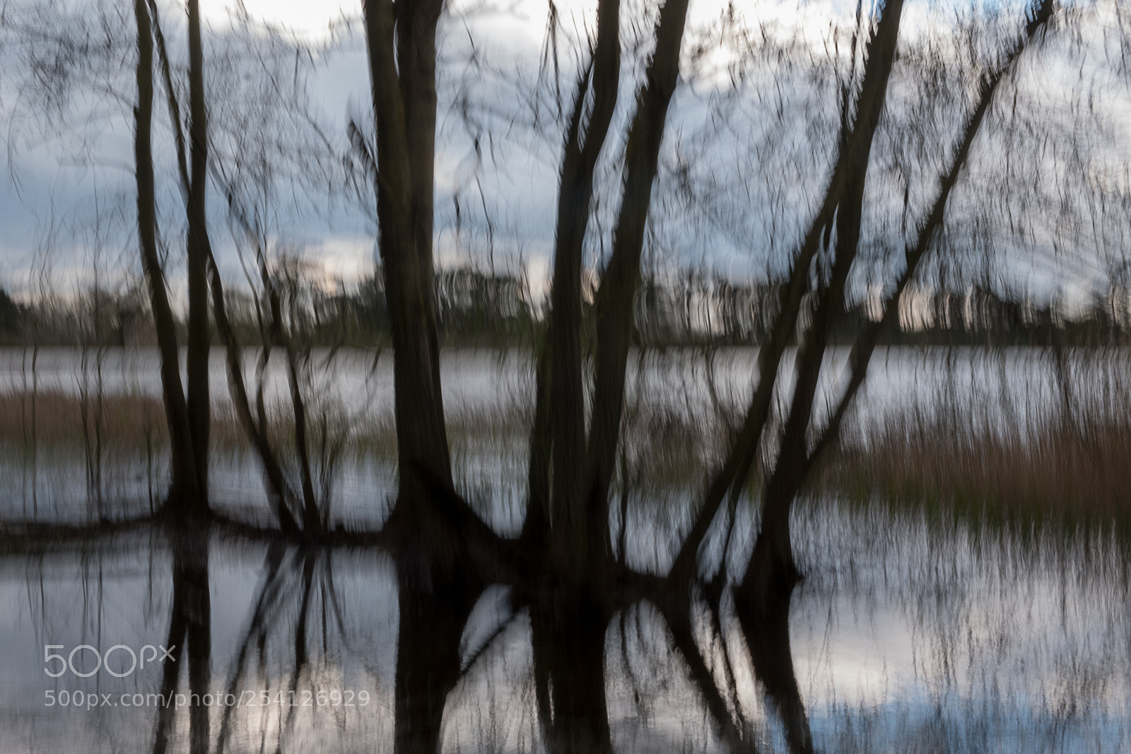 Fujifilm X-T20 sample photo. Wetlands photography