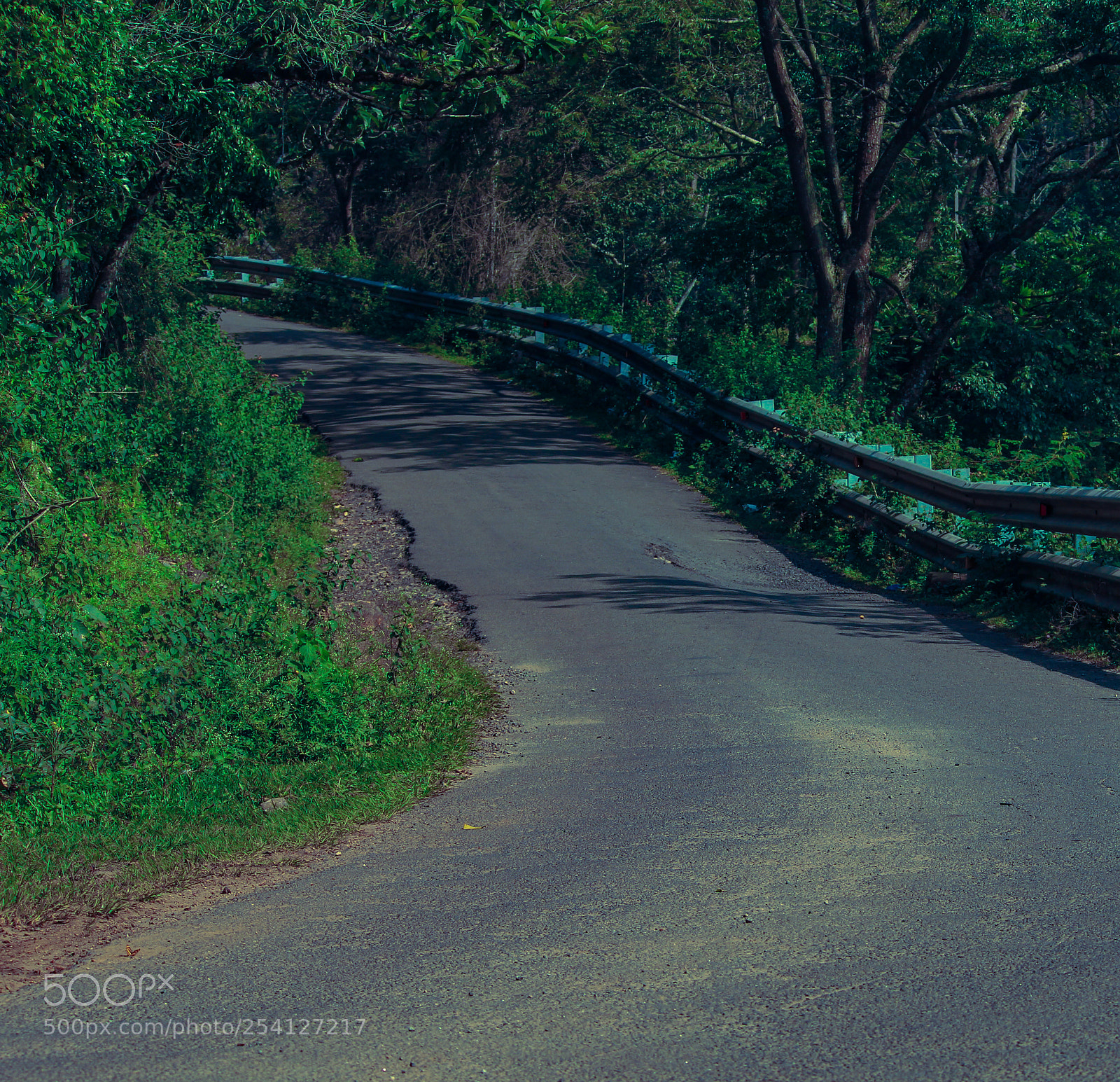 Canon EOS 700D (EOS Rebel T5i / EOS Kiss X7i) sample photo. Road that taken photography