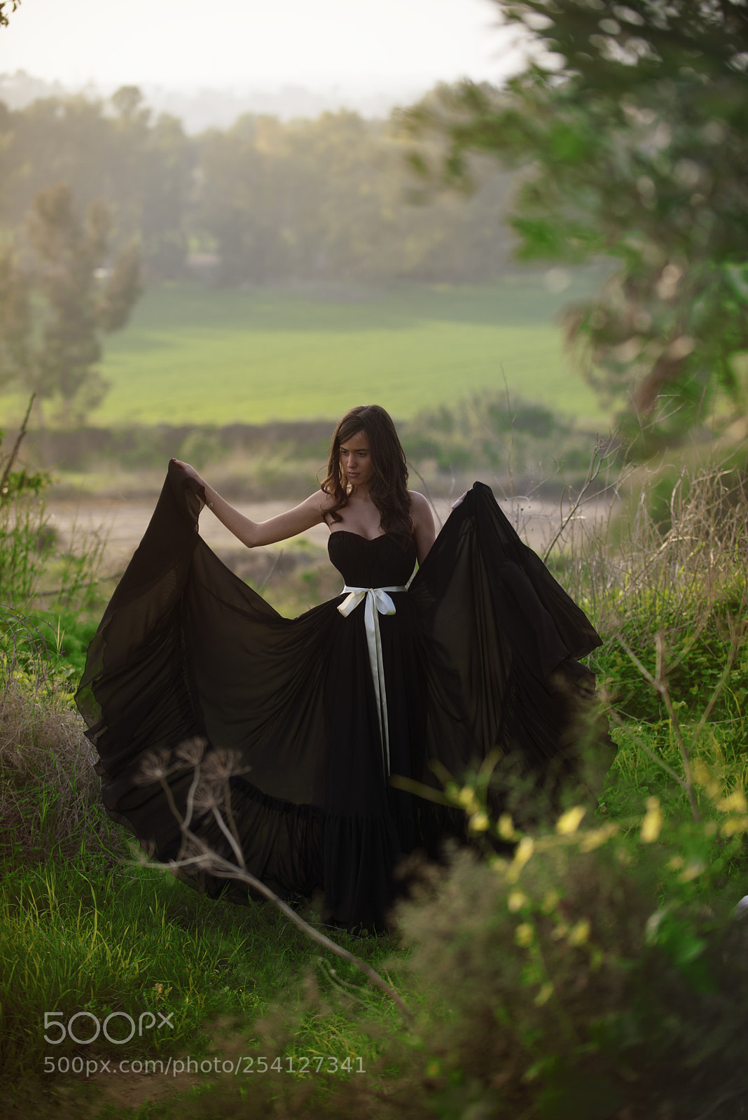 Nikon D610 sample photo. Alon in forest photography