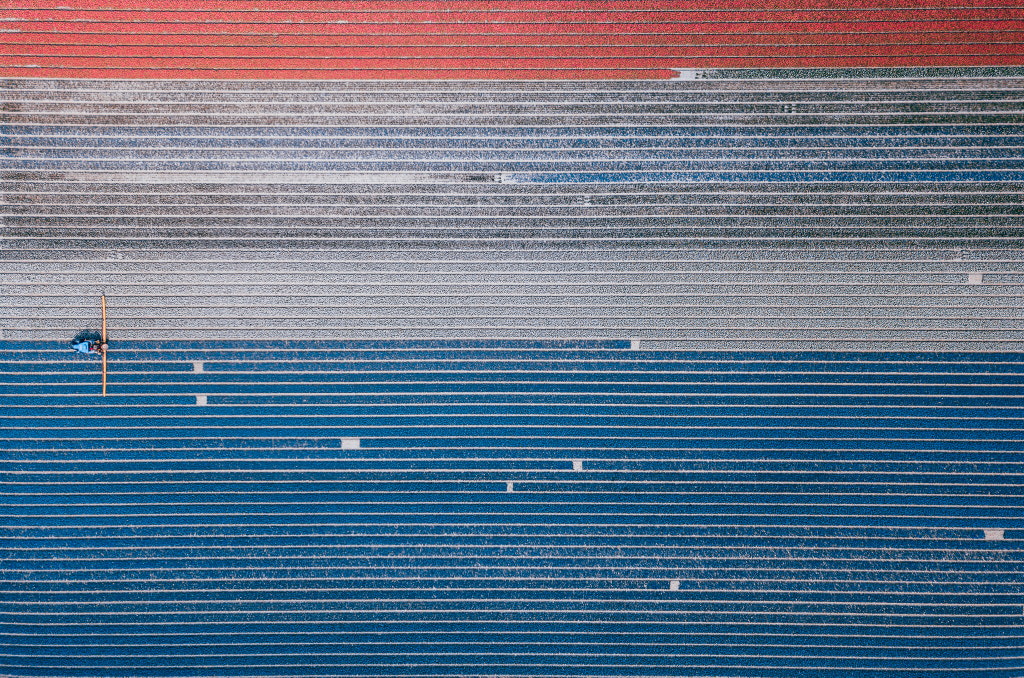 Dutch Tulip Field by Niels Keekstra on 500px.com