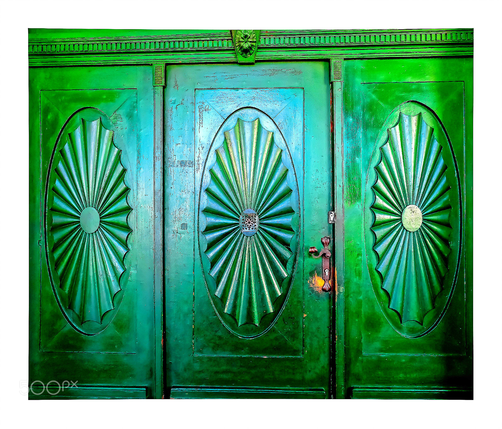 Panasonic Lumix DMC-FZ1000 sample photo. Les rosaces vertes photography