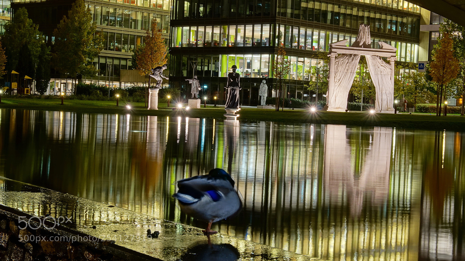 Sony Alpha a5000 (ILCE 5000) sample photo. Duck in reflections photography