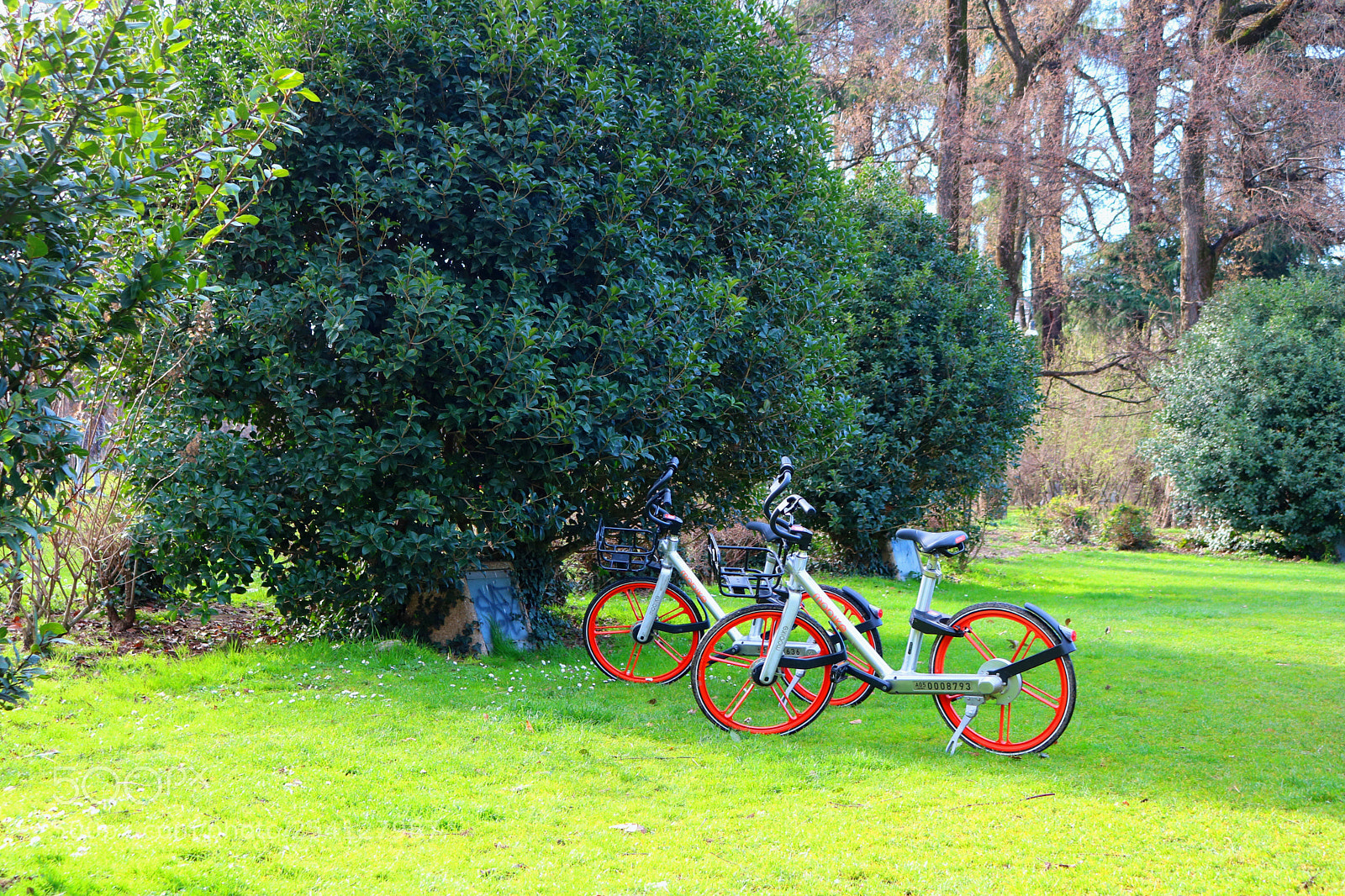 Canon EOS 750D (EOS Rebel T6i / EOS Kiss X8i) sample photo. Milan city photography