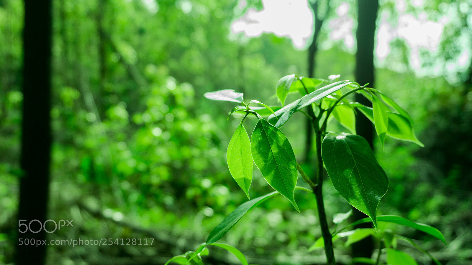 Sony a6000 sample photo. Untitled photography