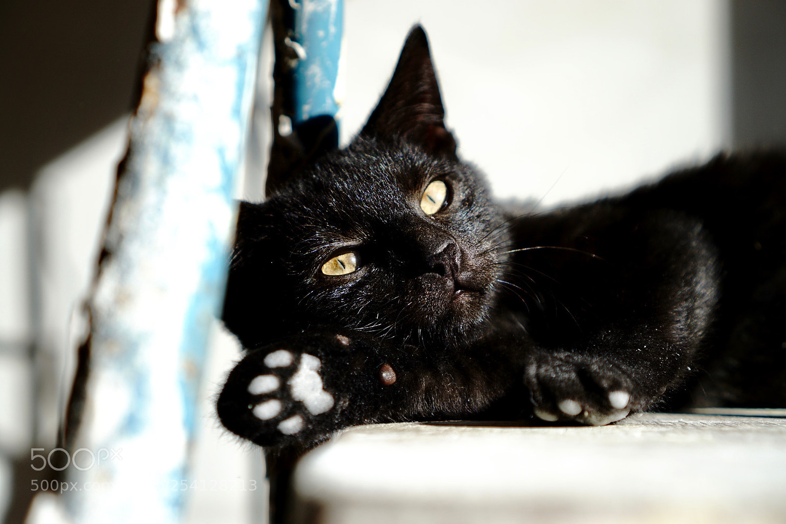 Sony a6000 sample photo. Dsc photography