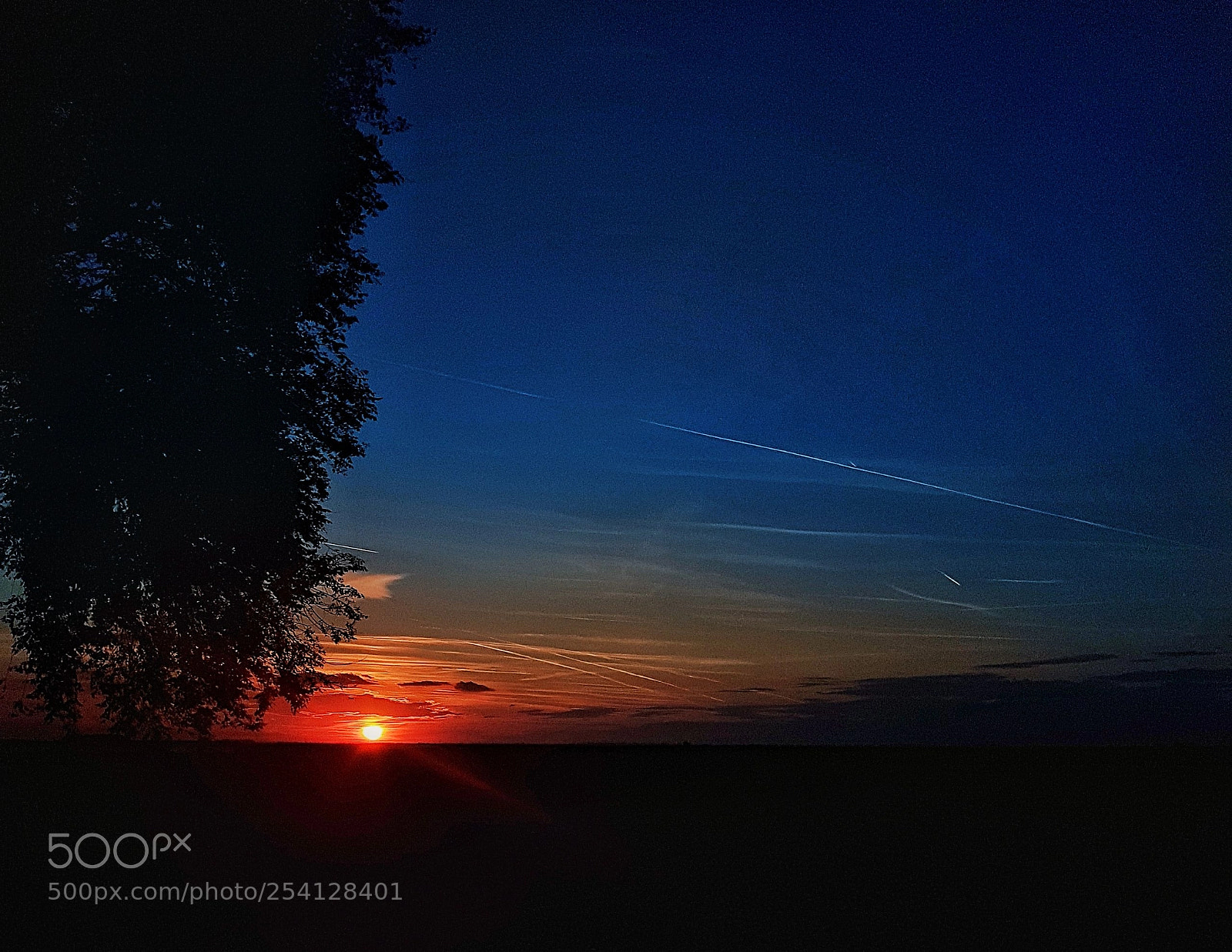 Samsung Galaxy S7 Edge sample photo. Sunset tree photography