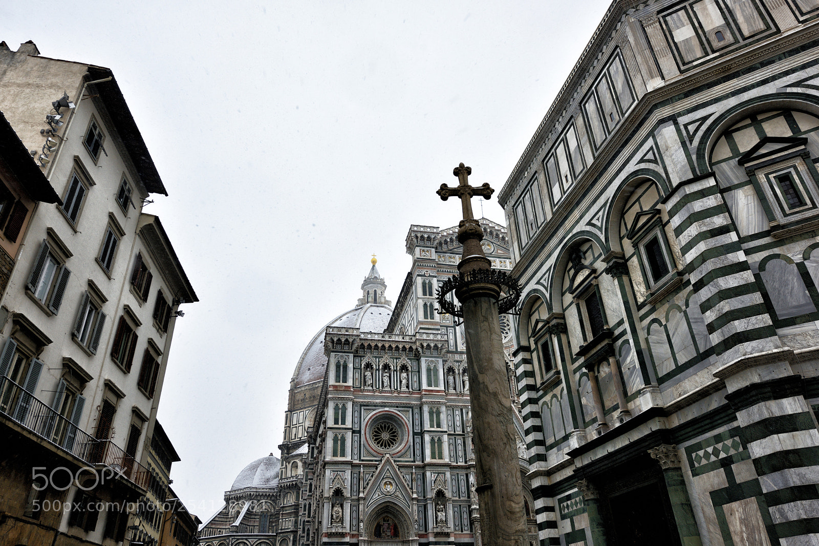 Nikon D810 sample photo. Florence white 01/03/2018 v photography