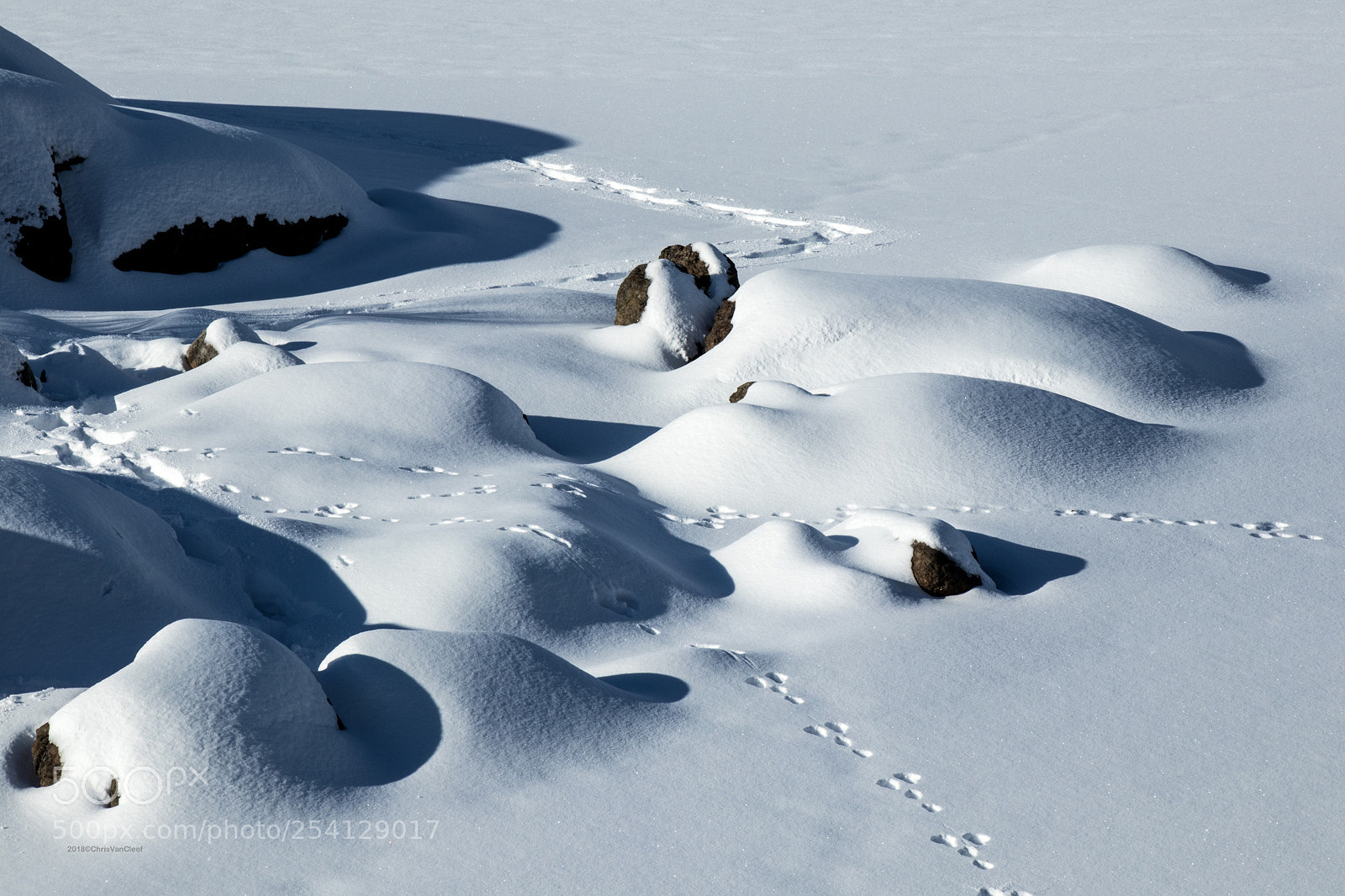 Canon EOS M5 sample photo. Stuvdalsvatnet, lofoten photography