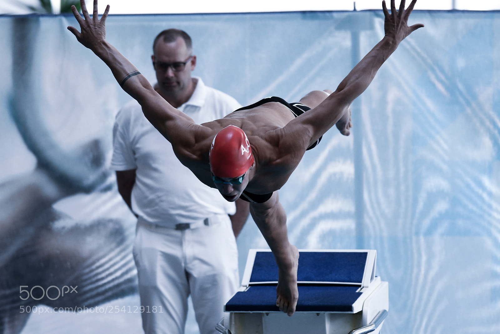Nikon D500 sample photo. The dive photography