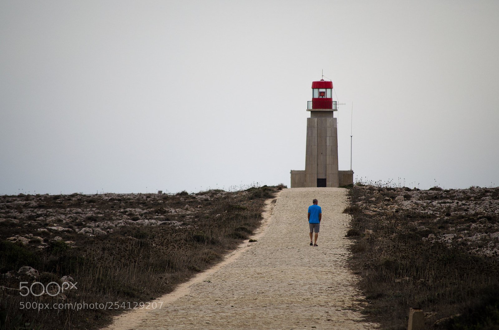 Nikon D5100 sample photo. The long road to... photography