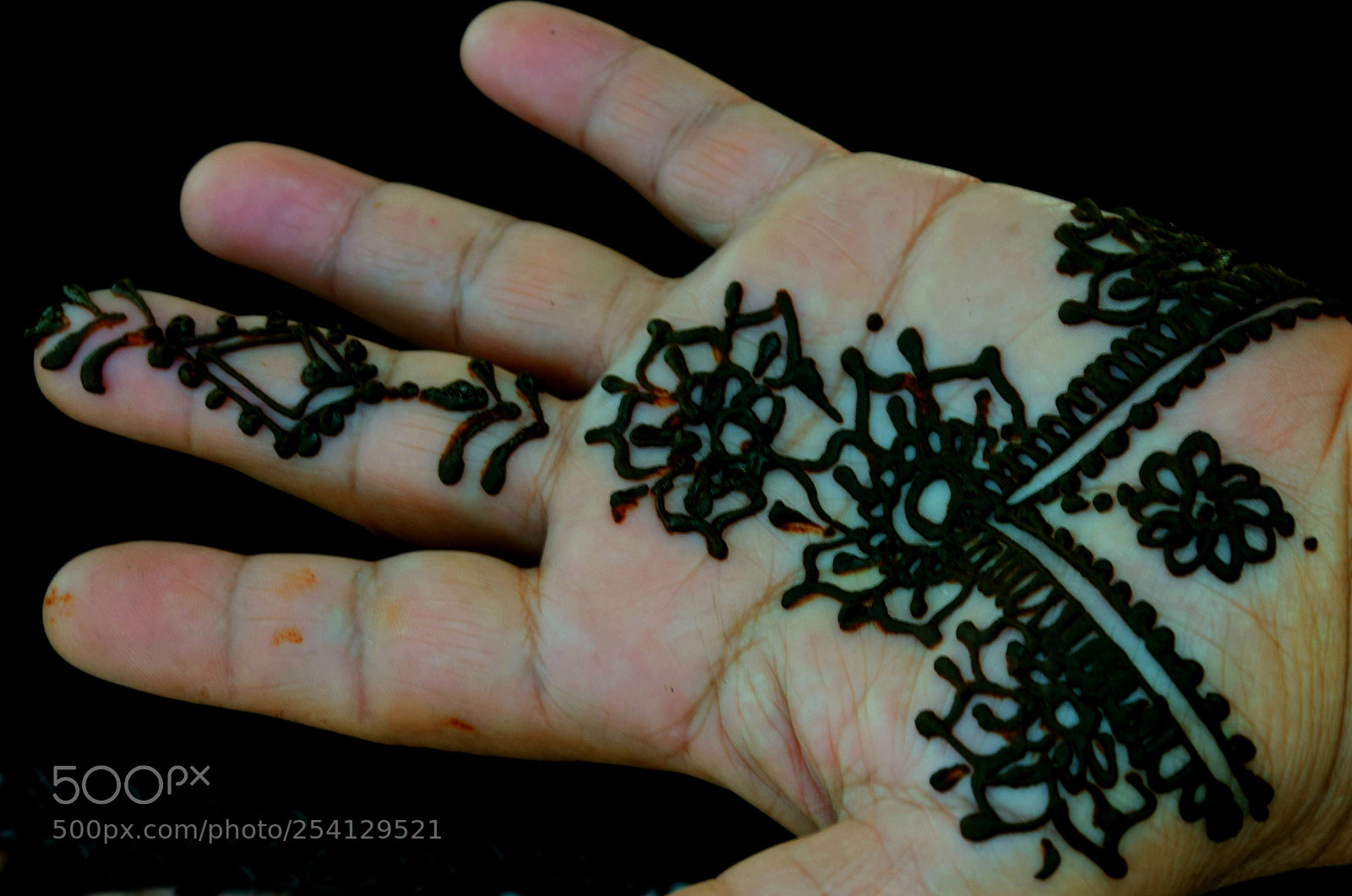 Nikon D5300 sample photo. Moroccan hand decorating photography