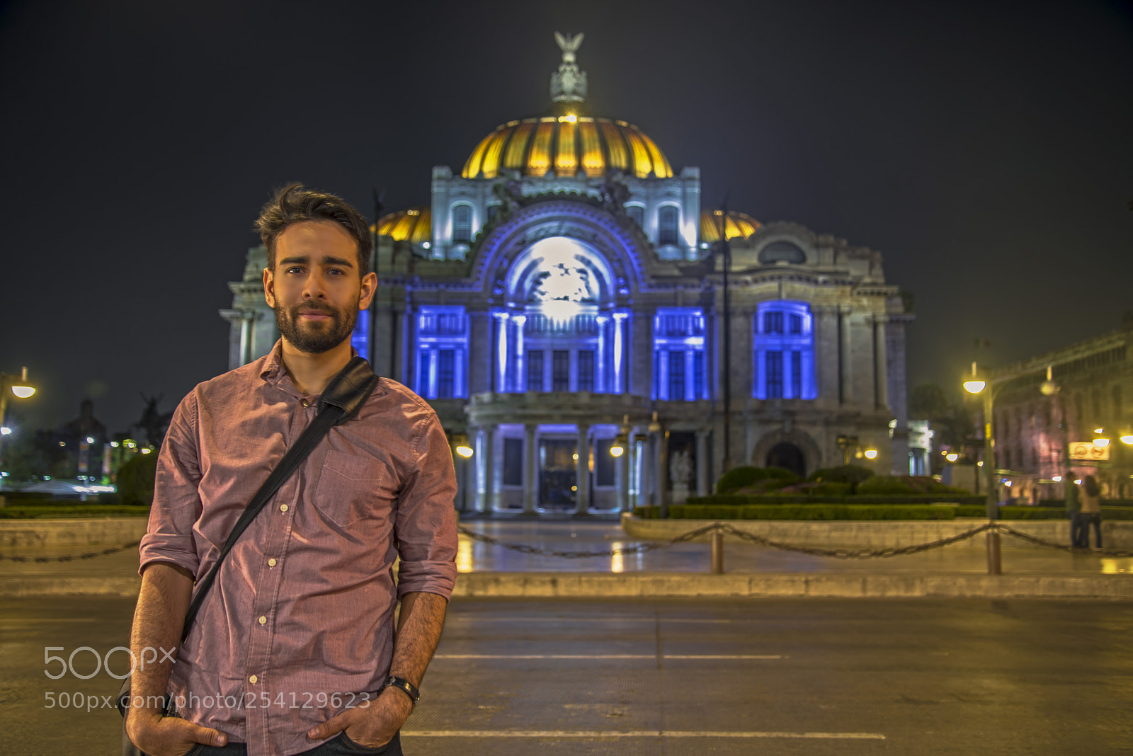 Nikon D600 sample photo. Palacio de bellas artes photography