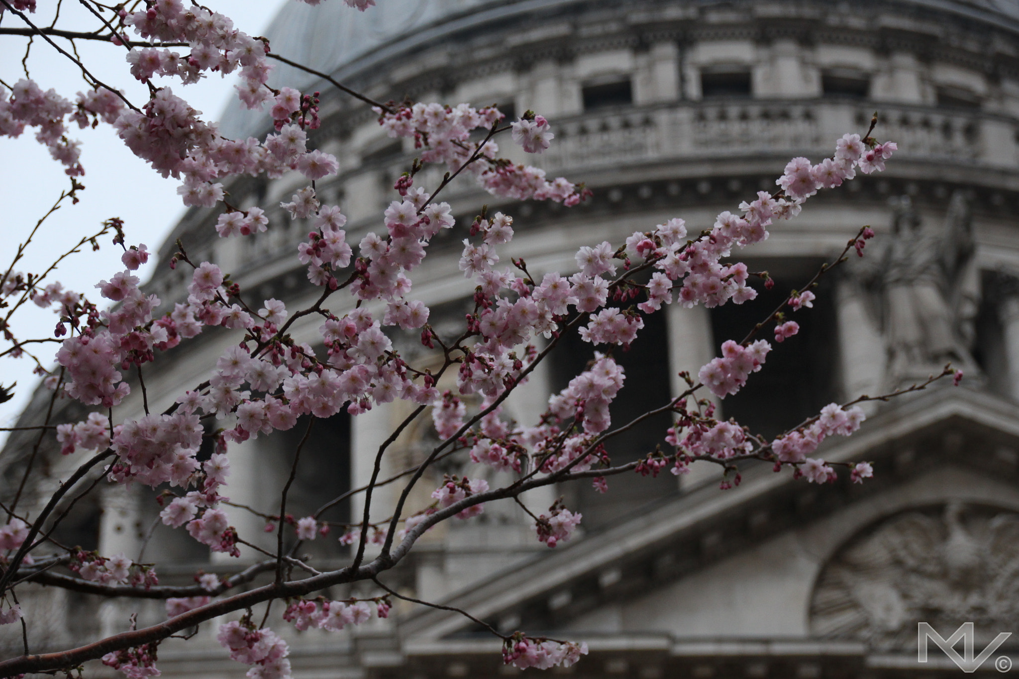 Sigma 18-250mm F3.5-6.3 DC OS HSM sample photo. Springtime ii photography