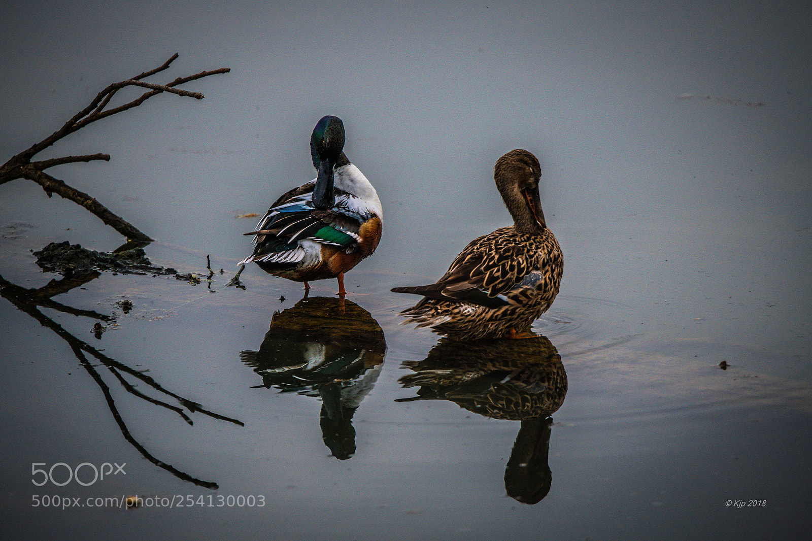Nikon D850 sample photo. A photography