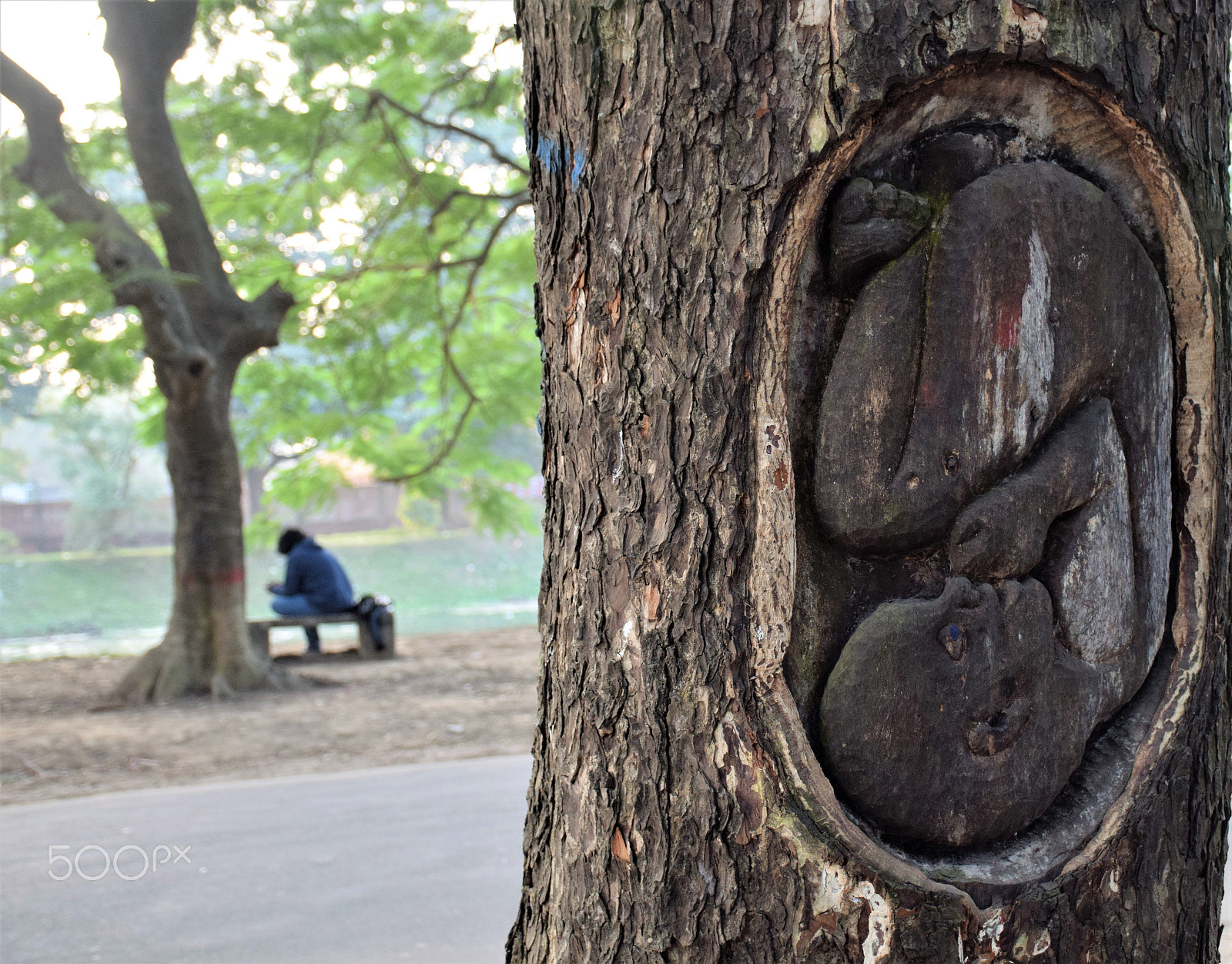 Nikon D3300 sample photo. Man are alone forever! photography