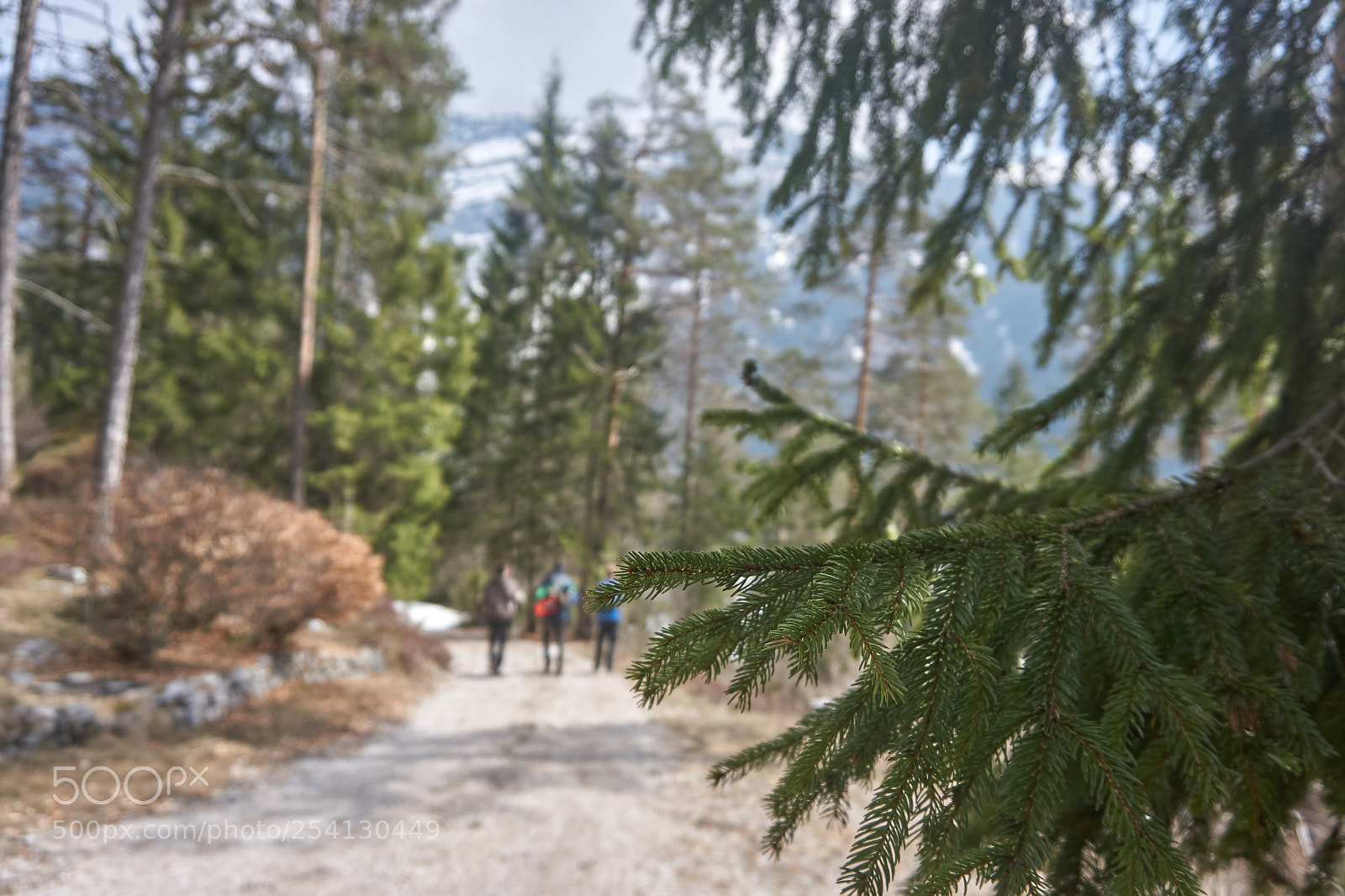 Sony a6000 sample photo. People walking on footpath photography