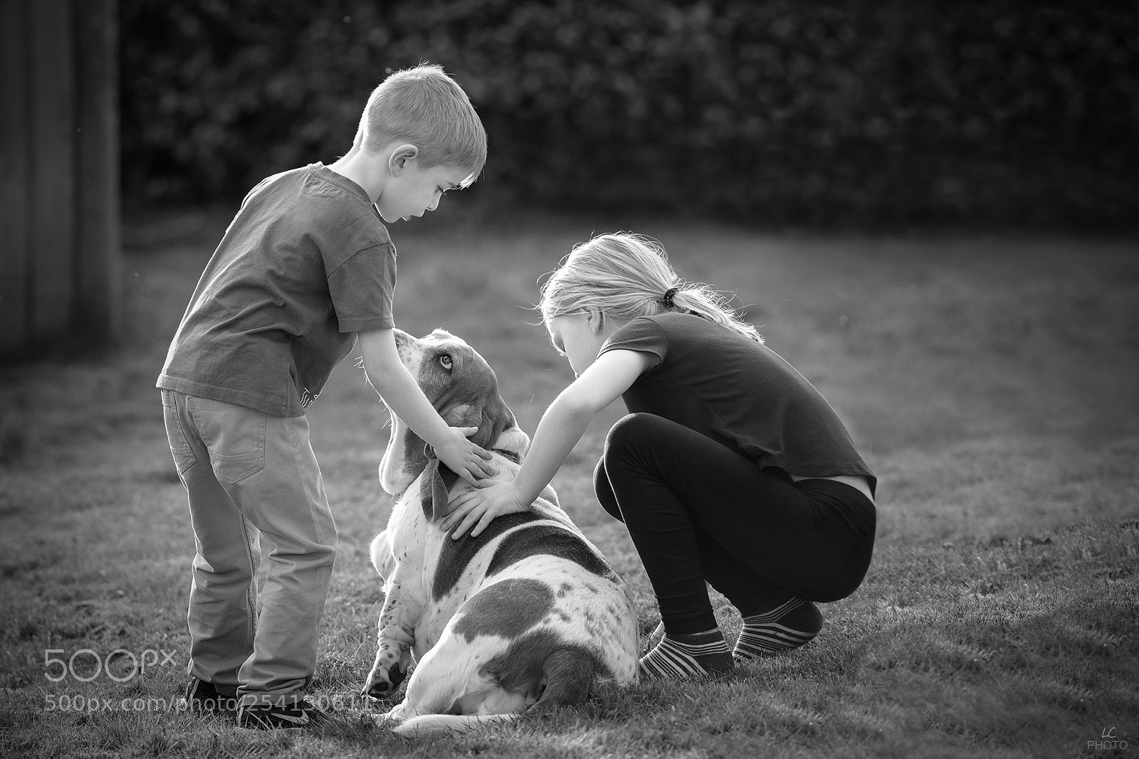 Nikon D610 sample photo. Affection photography