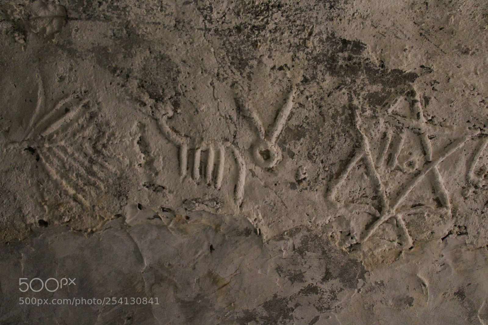 Canon EOS 700D (EOS Rebel T5i / EOS Kiss X7i) sample photo. Search for the truth,.. photography