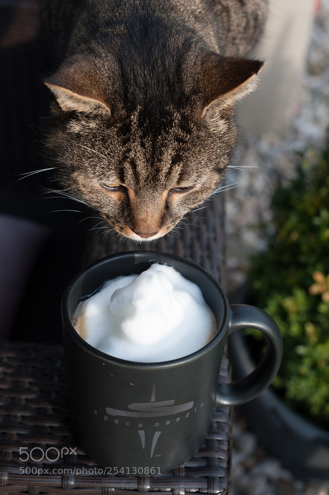 Nikon D700 sample photo. Coffee...  photography