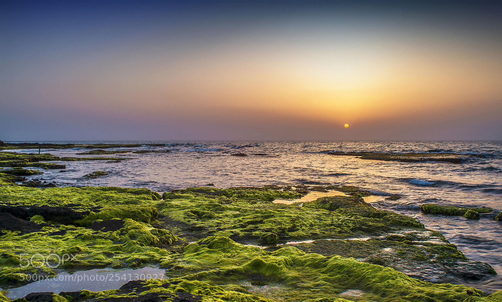 Nikon D600 sample photo. It's always the sun photography