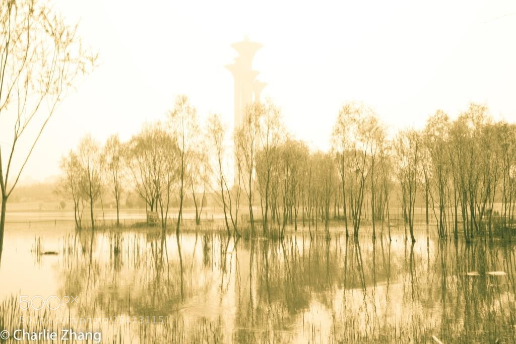 Canon EOS-1D X sample photo. Untitled photography