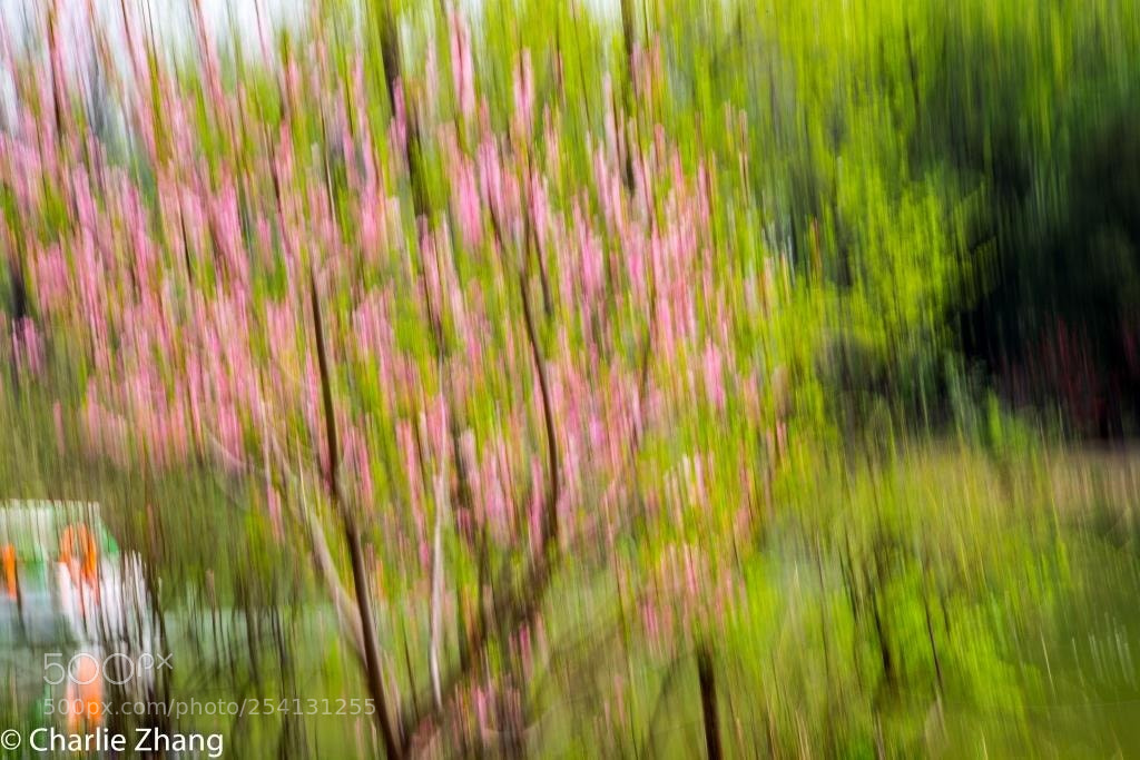 Canon EOS-1D X sample photo. Untitled photography