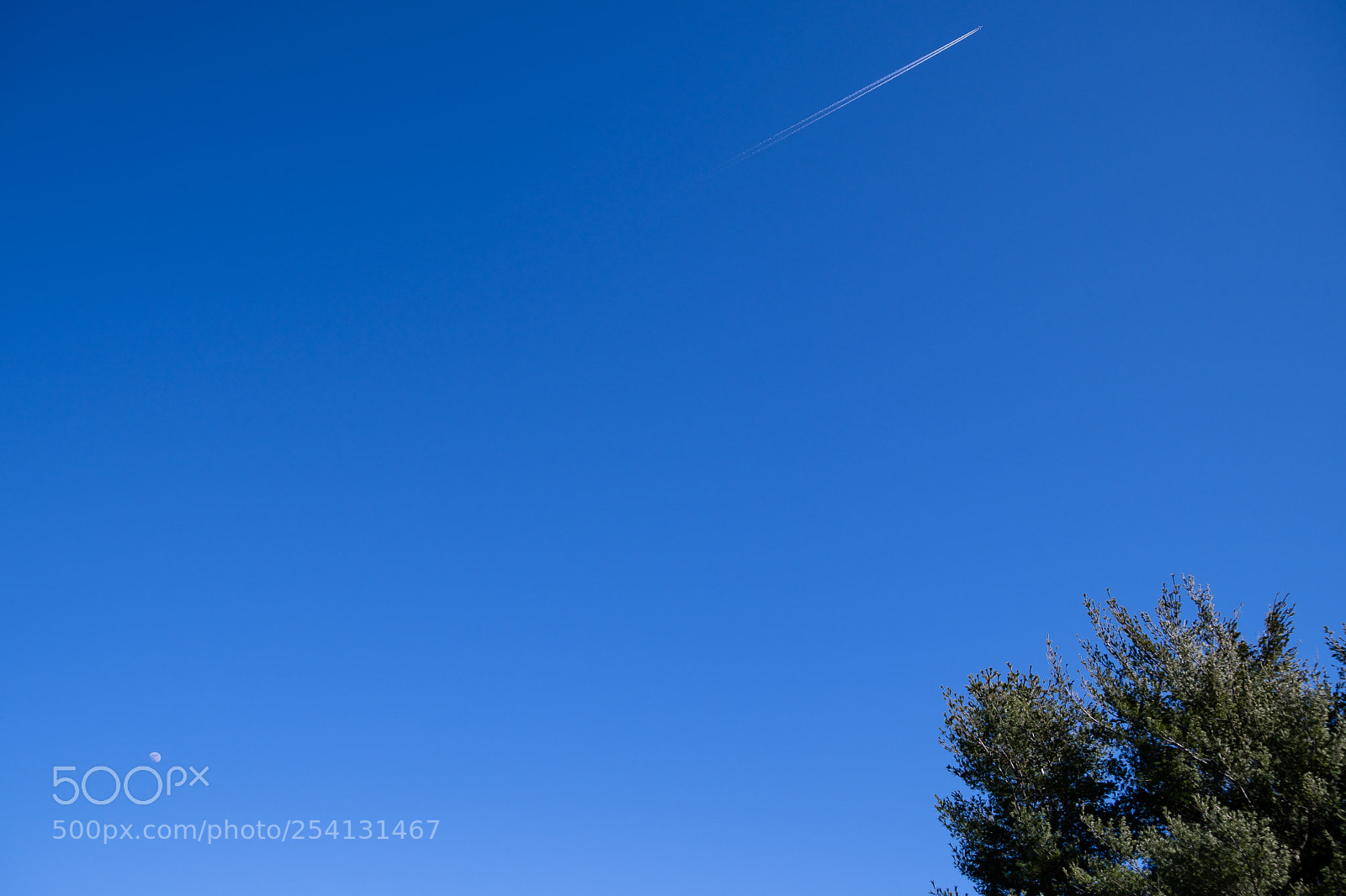 Nikon D500 sample photo. Through the sky photography