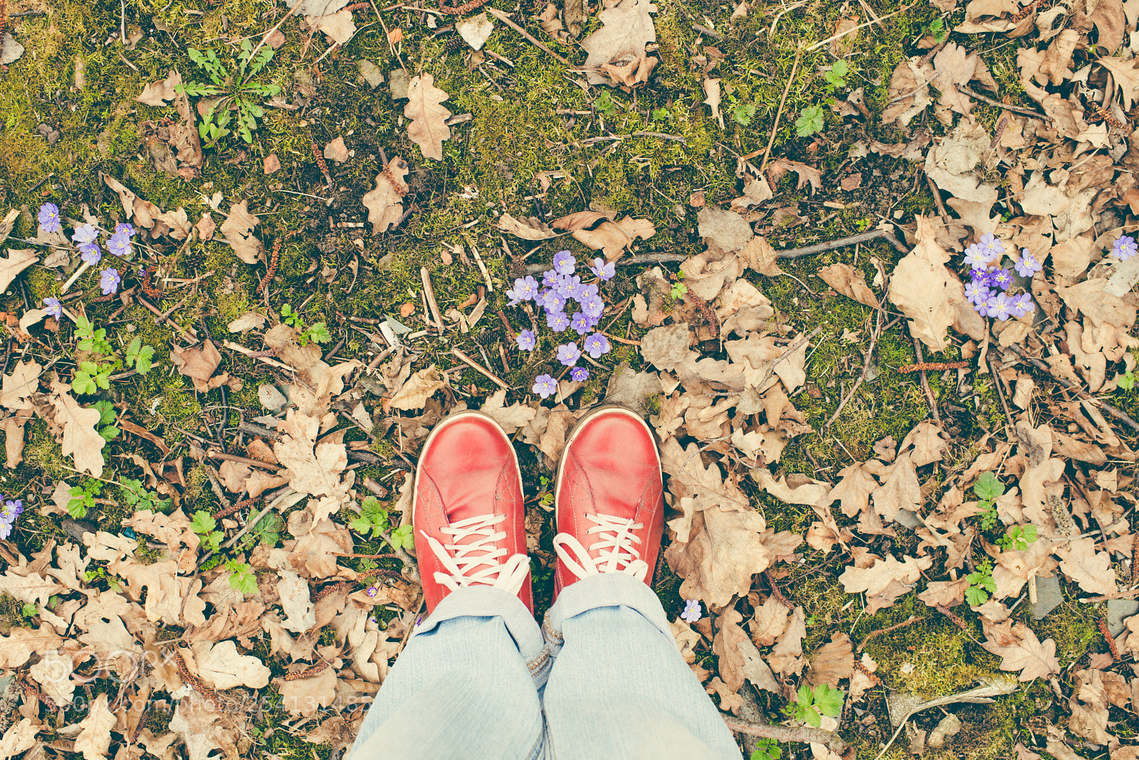 Nikon D800E sample photo. Spring time photography
