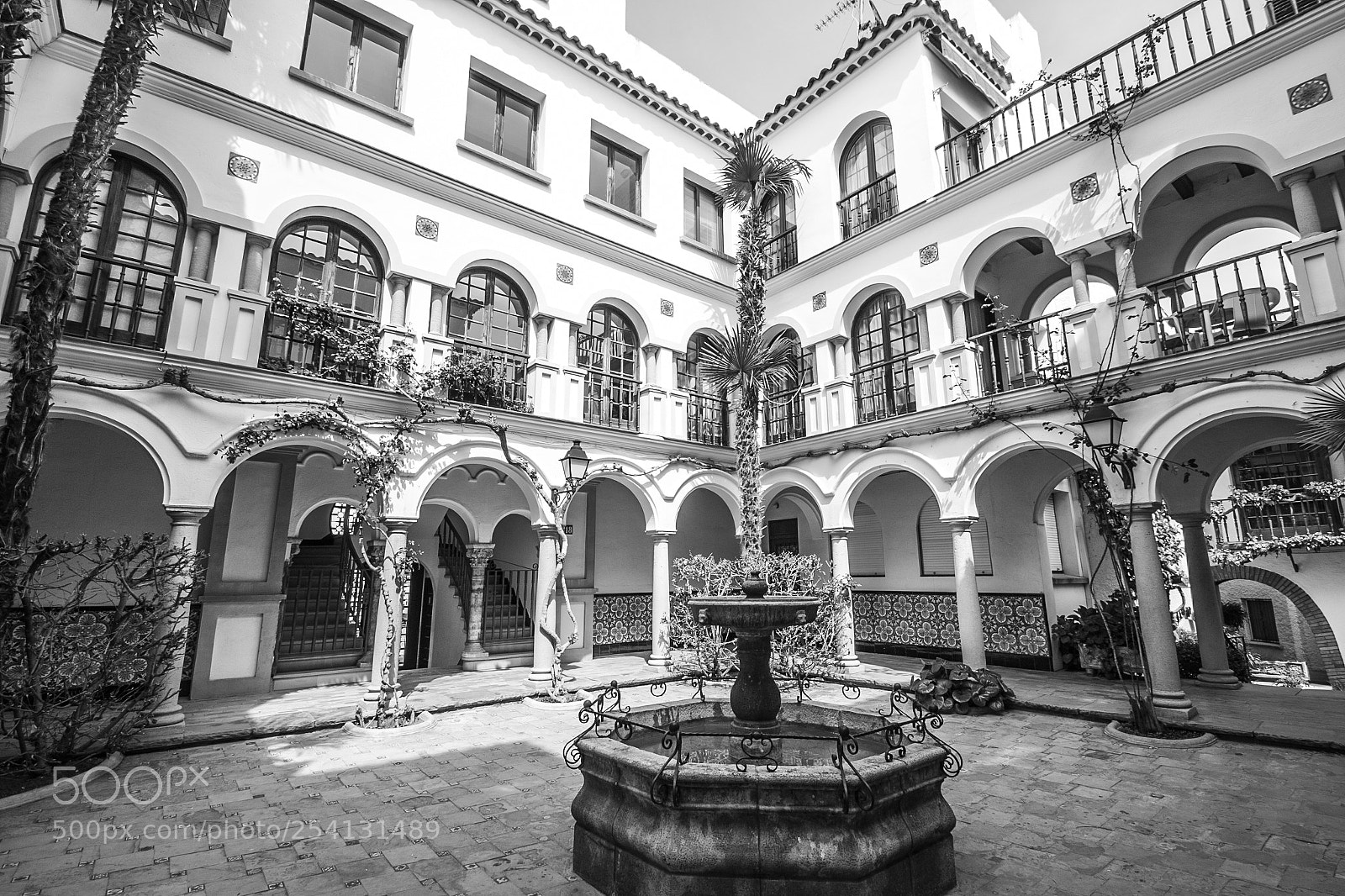Canon EOS 70D sample photo. Andalusian yard photography