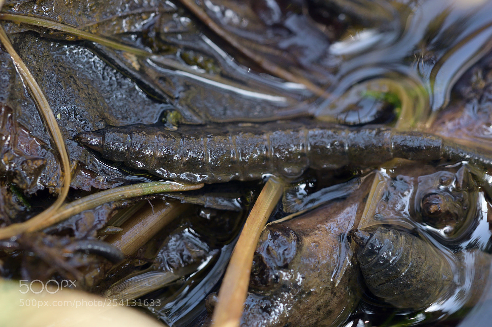 Nikon D7500 sample photo. From the depth of photography