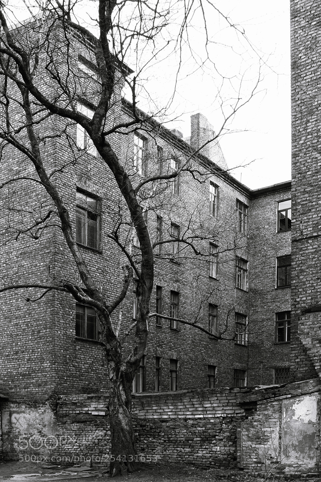 Canon EOS 60D sample photo. Old yard photography