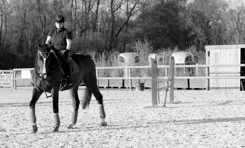 Canon EOS 60D sample photo. Equestrian moment photography